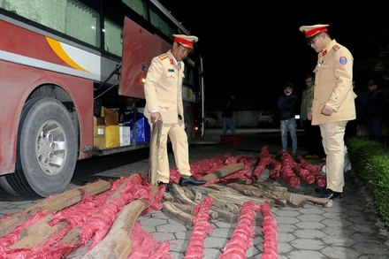 Phát hiện xe khách chở gần một tấn gỗ trắc trong đêm