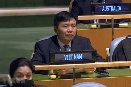 Đại sứ Đặng Đình Quý, Trưởng phái đoàn đại diện thường trực Việt Nam tại Liên hợp quốc. (Ảnh: Hữu Thanh/TTXVN)