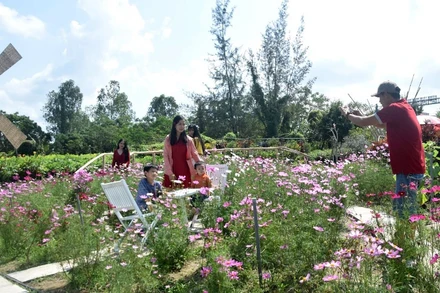 Du khách tham quan Làng hoa Sa Đéc.