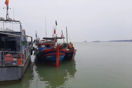 Các tàu vi phạm được đưa về cảng cá Cửa Hội.