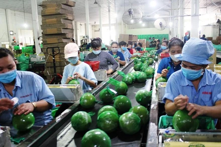 Người lao động tỉnh Bến Tre sẽ được hỗ trợ do ảnh hưởng dịch Covid-19.