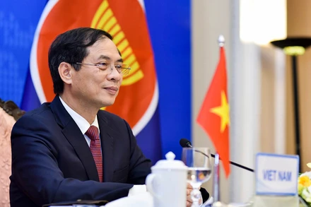 Bộ trưởng Ngoại giao Bùi Thanh Sơn tại Hội nghị Ủy ban Hiệp ước SEANWFZ 