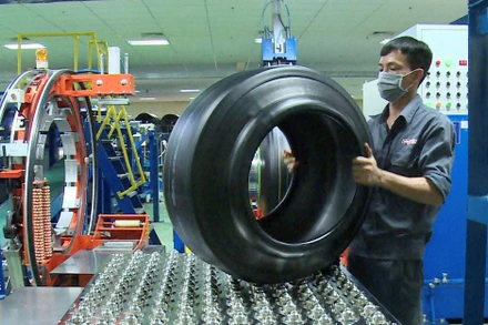 Sản xuất theo phương án “ba tại chỗ” tại Công ty Hưng Hải Thịnh, huyện Phú Giáo, tỉnh Bình Dương.