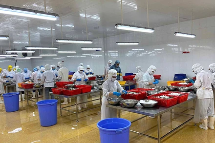 Hoạt động sản xuất trong thời gian giãn cách tại Công ty Cổ phần Camimex Group Cà Mau.