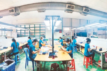 Ảnh minh họa: Phương Vy.