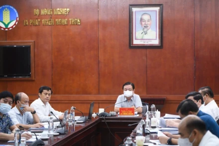 Bộ trưởng Lê Minh Hoan chủ trì cuộc họp về xây dựng 4 quy hoạch ngành quốc gia ngày 23/8.