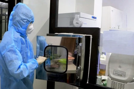 Xét nghiệm virus SARS-CoV-2 bằng kỹ thuật RT-PCR tại Bệnh viện đa khoa Hùng Vương.