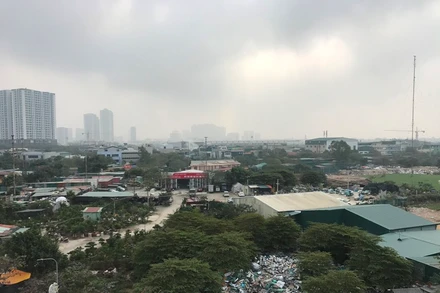 Đất nông nghiệp tại huyện Thanh Trì bị sử dụng sai mục đích. 