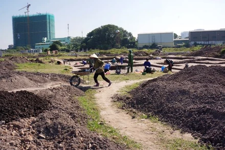 Khai quật khảo cổ tại di chỉ Vườn Chuối.