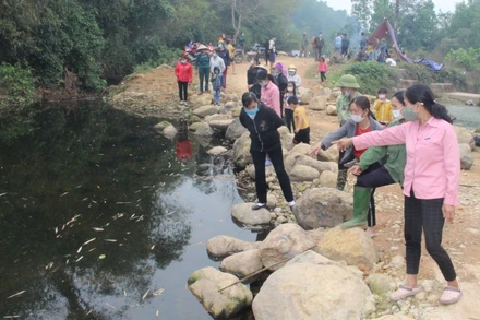 Trang trại của ông Thân Văn Hùng ở xóm Đồng Phú, xã Cát Nê, huyện Đại Từ xả thải ra suối làm cá chết hàng loạt.