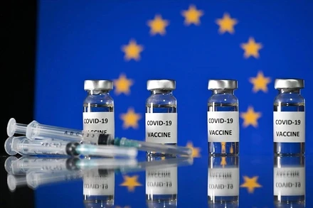 Việt Nam đề nghị EU hỗ trợ, chia sẻ vaccine Covid-19. (Ảnh: AFP/TTXVN)