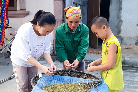 Em Đinh Thị Minh Trang thỏa mong ước giảng đường đại học nhờ sự tiếp sức, hỗ trợ kịp thời của Quỹ Hỗ trợ học sinh đạt điểm cao, hoàn cảnh đặc biệt khó khăn vào học đại học. 
