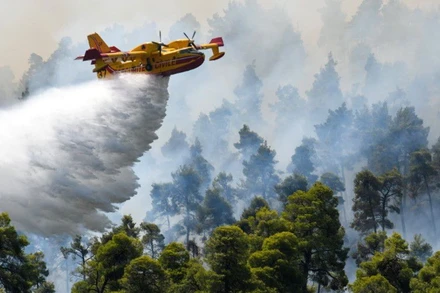 Máy bay cứu hỏa thả nước dập đám cháy rừng gần làng Ellinika trên đảo Evia, ngày 8/8. (Ảnh: Reuters)