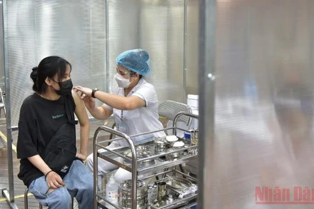 Ảnh minh họa. (Duy Linh/NDĐT)