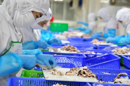 Rất cần các biện pháp hỗ trợ từ các địa phương và Chính phủ để tránh nguy cơ gẫy đổ toàn chuỗi sản xuất, xuất khẩu thủy sản. Ảnh: VASEP