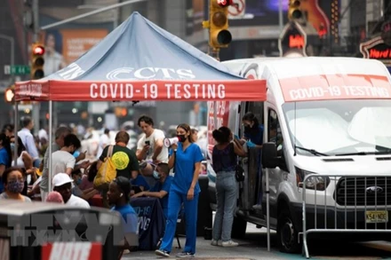 Ảnh minh họa (Nguồn: THX/TTXVN)