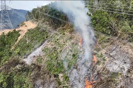 Cháy rừng tại xã Sơn Linh, huyện Sơn Hà (Quảng Ngãi) gây ra sự cố nghiêm trọng đến việc cung cấp điện của đường dây 500kV mạch 3, đoạn Dốc Sỏi-Pleiku 2.