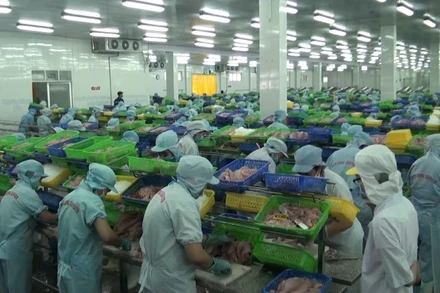 Hàng nghìn doanh nghiệp ở đồng bằng sống Cửu Long “đuối sức” phải ngừng hoạt động vì dịch bệnh.