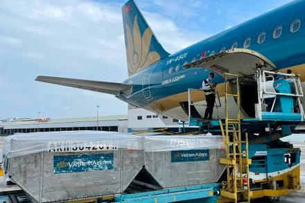 Ảnh minh họa. (Nguồn: Cục Hàng không Việt Nam)