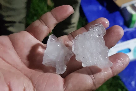 Mưa đá có kích thước từ 1-3cm tại khu vực TP Thủ Đức (Ảnh: Anh Tuấn).