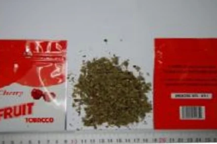 Mẫu thực vật khô cắt nhỏ chứa chất ADB-BUTINACA.