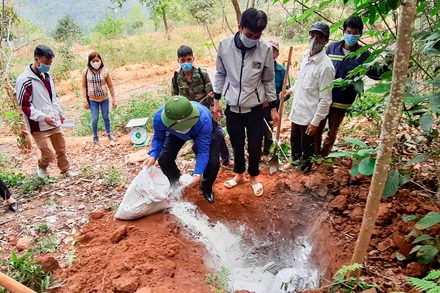 Người dân và cơ quan chuyên môn tỉnh Điện Biên tiêu hủy lợn mắc bệnh tả lợn châu Phi.