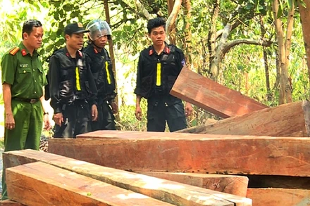 Lực lượng Công an phát hiện lâm sản do Công ty lâm nghiệp Ea Kar quản lý bị khai thác trái phép với khối lượng lớn nhưng công ty không hề hay biết.