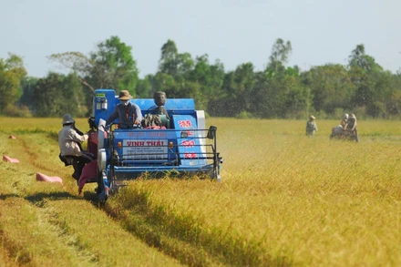 Nông dân đang gặp khó do giá vật tư nông nghiệp tăng cao. (Ảnh: Thanh Vũ)