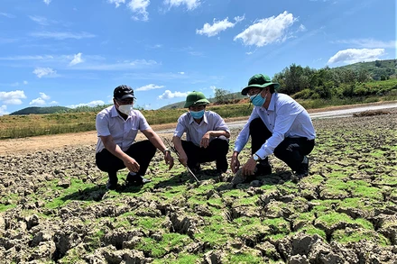 Hồ đập thủy lợi Ea Ktung, xã Krông Jing, huyện M’Đrắk đã khô cạn trơ đáy hơn 10 ngày nay.