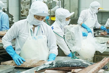 Cải cách thủ tục hành chính tạo điều kiện thuận lợi cho các doanh nghiệp thủy sản xuất khẩu hàng hóa. Ảnh: HẢI NAM