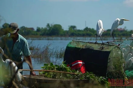 Những con cò vừa bị đối tượng bẫy được.