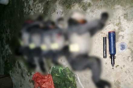 Tang vật 5 cá thể động vật nghi voọc chà vá chân xám bị bắn chết. (Ảnh: Hạt Kiểm lâm huyện Ba Tơ cung cấp).