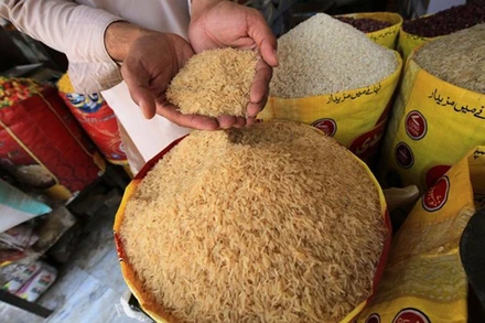 Ảnh minh họa. (Nguồn: TTXVN)