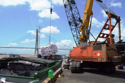 Bốc xếp hàng hóa ở Tân Cảng Cái Cui (Cần Thơ).