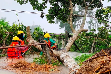 Điện lực Quảng Nam khắc phục sự cố do bão số 5.