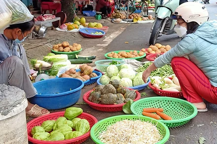 Tại các chợ truyền thống ở Thái Bình,mặt hàng rau, củ, quả hiện khá đắt đỏ.