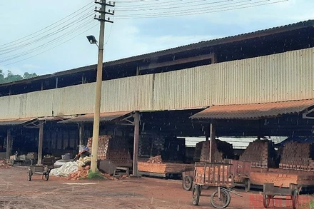 Nhà máy gạch tuynel tại tổ 19 phường Him Lam phải tháo dỡ toàn bộ trước ngày 15/11/2021.