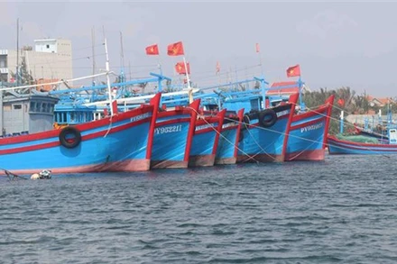 Ảnh minh họa. (Nguồn: TTXVN)