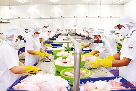 Chế biến sản phẩm tại Công ty APT (Ảnh minh họa: Phương Vy).