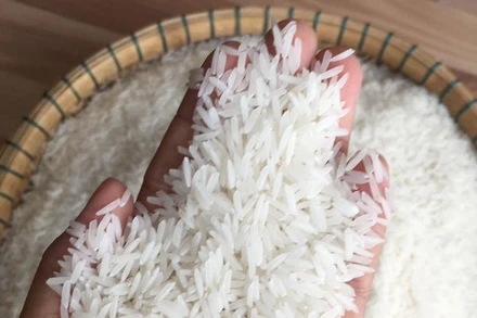 Công văn số 6195/BCT-AM cho biết, 1 lô gạo thơm giống ST25 hiệu Nữ hoàng tại Bỉ có mức dư lượng thuốc bảo vệ thực vật tricyclazole là 0,017 mg/kg. (Ảnh minh họa)