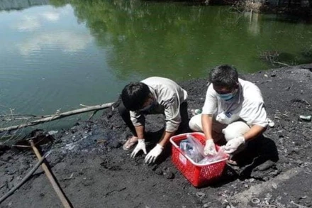 Lấy mẫu chất thải phục vụ công tác điều tra.