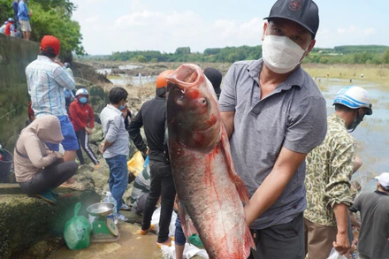 Người dân đánh bắt cá ở khu vực chân đập.