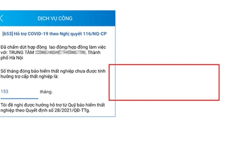 Trên VssID, lao động có thể kiểm tra thời gian tham gia bảo hiểm thất nghiệp chưa được tính hưởng trợ cấp thất nghiệp (số tháng).