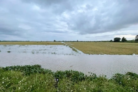 Đoạn bờ bao bị vỡ.