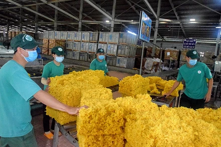 Tiếp nối truyền thống “Phú Riềng đỏ”