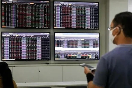 (Ảnh minh họa: TTXVN)