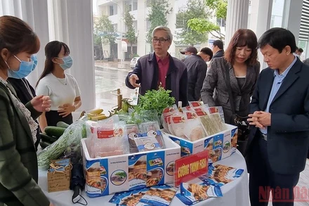 Gian trưng bày các sản phẩm từ cá của Công ty Cường Thịnh tại tọa đàm. (Ảnh: TRẦN HẢO)