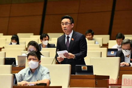 Đại biểu Quốc hội Nguyễn Hải Anh (Đồng Tháp) phát biểu tại phiên thảo luận trực tuyến về tình hình thực hiện chính sách, chế độ bảo hiểm xã hội, quản lý và sử dụng Quỹ bảo hiểm xã hội năm 2020.