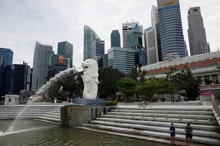 Công viên Sư tử biển vắng vẻ trong những ngày dịch bệnh hoành hành. (Ảnh: Reuters)