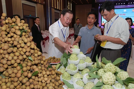 Gian hàng trưng bày quảng bá mặt hàng nông sản của Hợp tác xã Bảo Minh.